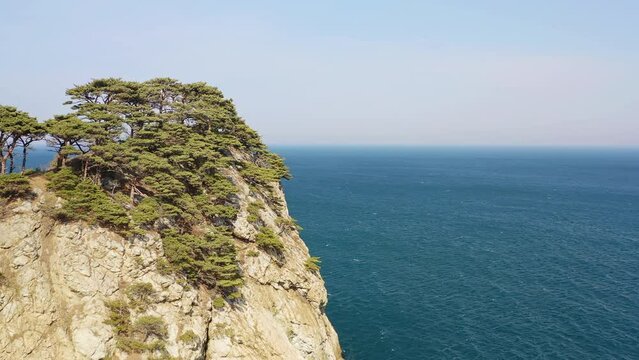 Rocky cape overgrown with pine trees in windy weather. Drone view
