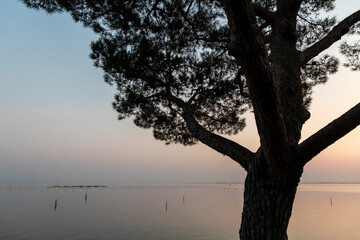coastline gulf of Trieste, Italy