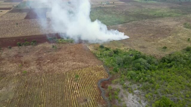maize farm plantation on fire- Drought in kenya.