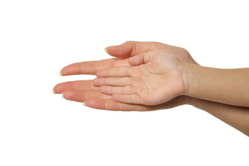 Mother's hands with little girl hands isolated on white background