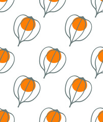 Physalis fruit on white background. Seamless pattern vector illustration. Summer design with fruits. Hand drew ink doodle style. Abstract berry.