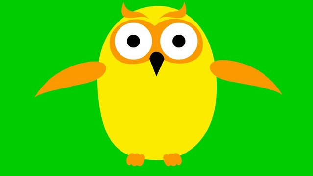 Animated funny yellow owl flies. Looped video. Vector illustration isolated on a green background.
