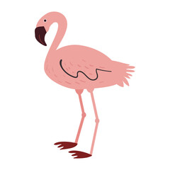 African flamingo vector cartoon illustration in a naive flat style