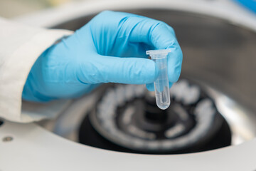 Scientist puts microcentrifuge tubes into centrifuge for phase separation. Clinical analysis of...