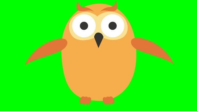 Animated funny owl flies. Looped video. Vector illustration isolated on a green background.