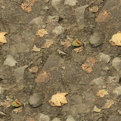 stone road, seamless forest textures. 