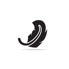 silhouette feather icon vector illustration