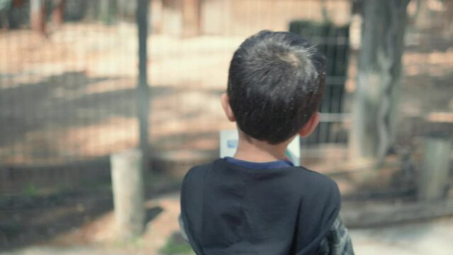 Little boy studying the map at zoo