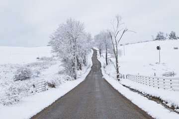 Winter Township Road in the Snow Near Some Trees in Amish Country, Ohio