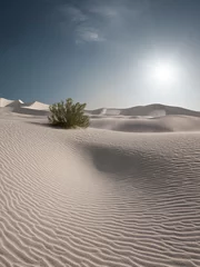 Foto op Plexiglas anti-reflex uitzicht op mooie zandduinen bij Sands Dunes National Park © Dmitry Ersler
