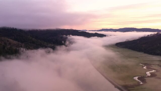 Coos Bay Oregon, valley filled with low-lying fog. Drone above clouds that are illuminated and pink colored from sunrise.