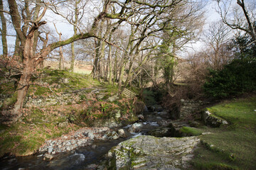 A shallow fast moving stream at Buttermere, Cumbria in the UK
