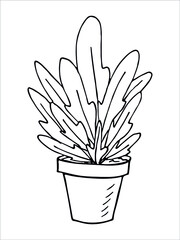 Сute hand drawn houseplant in a pot clipart. Plant illustration isolated on white background. Cozy home doodle.
