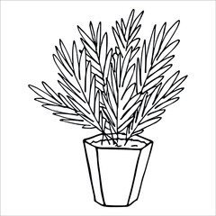 Сute hand drawn houseplant in a pot clipart. Plant illustration isolated on white background. Cozy home doodle.