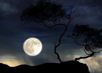  trees silhouette on front night  starry sky  and moon dramatic panorama nature weather forecast