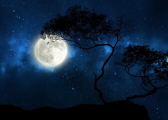  trees silhouette on front night  starry sky  and moon dramatic panorama nature weather forecast