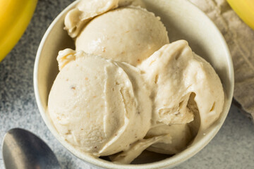 Homemade Healthy Vegan Banana Ice Cream