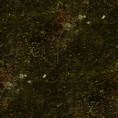 ground, seamless forest textures. 