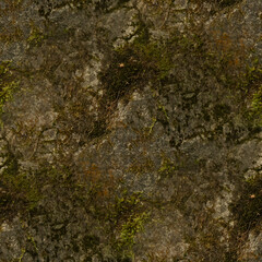 moss on stone, seamless forest textures. 