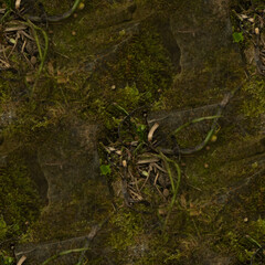 moss covered rocks, seamless forest textures. 
