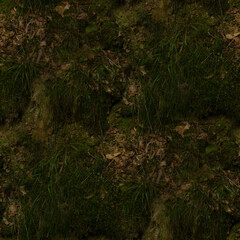 trees in the woods, seamless forest textures. 