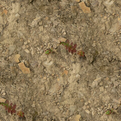ground, seamless forest textures. 
