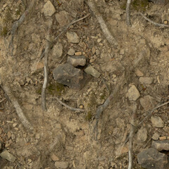 ground, seamless forest textures. 