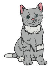 Vector illustration of kitten. Hand drawn cat colored and depicted by a line.