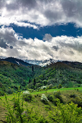 Fototapeta premium landscape with sky