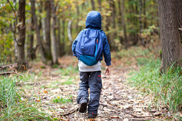 A little boy walks alone in the woods