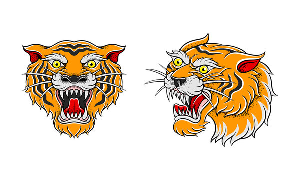 Old tattooing school designs set. Roaring tiger head tattoos at traditional vintage style vector illustration