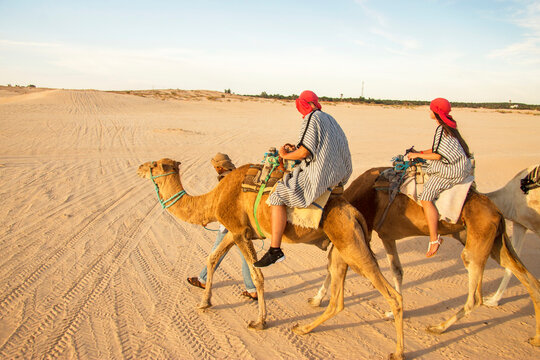 Group of tourists over dromedary camel swalking in the sands