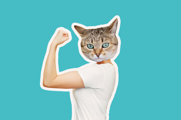 Strong woman headed by cat head raises arm and shows bicep isolated on a color blue background....