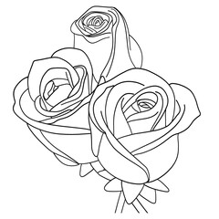 Raster illustration depicting roses in a black and white line. Flowers rose buds for collage, tattoos, stickers, design.