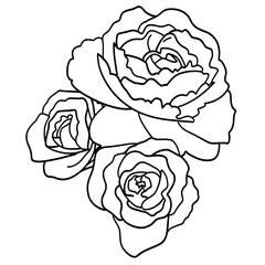 Raster illustration depicting peonies in a black and white line. Flowers buds of peonies for collage, tattoos, stickers, design.
