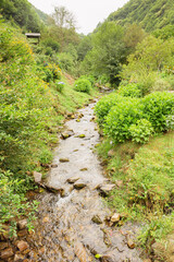 Fototapeta na wymiar A beautiful stream surrounded by vegetation as it passes through the Asturian village of As Veigas