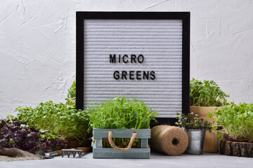 Felt board close-up with letters with the inscription microgreens it stands among the micro...