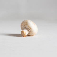 One fresh white champignon mushroom on the table.