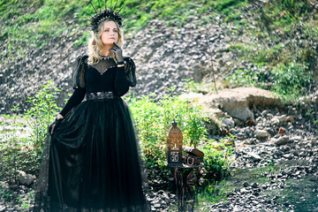 Fototapeta premium black queen in crown and dress.