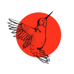 A hand-drawn hummingbird against a red circle © Екатерина Трифонова