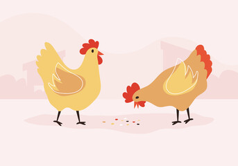 Animal farm. Domestic chicken vector illustration.