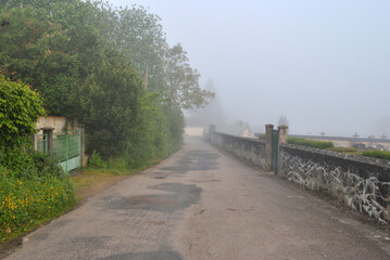 Deserted Rural Road on Misty Morning 