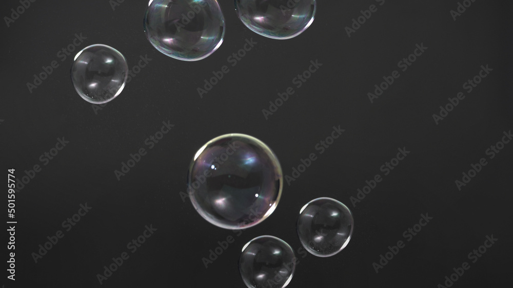 Wall mural Soap bubble drop or Shampoo bubbles floating like flying in the air black background which represent refreshing moments and gentle soft. Bubbles drops for soap  shampoo or detergent product industry.