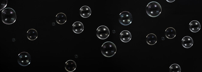 Soap bubble drop or Shampoo bubbles floating like flying in the air black background which...