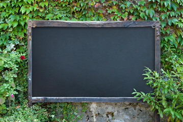 Outdoor rustic chalkboard on stone wall with lots of green plants around. Blank surface for promo...