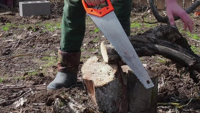 man sawing old trees in the garden with a hand saw, cleaning the garden