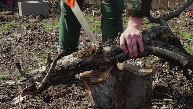 man sawing old trees in the garden with a hand saw, cleaning the garden