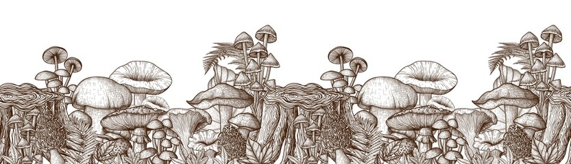 Seamless horizontal pattern mushrooms near the stump in the style of engraving. Linear graphic fly agaric, chanterelles, porcini mushrooms, honey mushrooms, morel, mycena, russula, boletus © Viktoriia Holovko