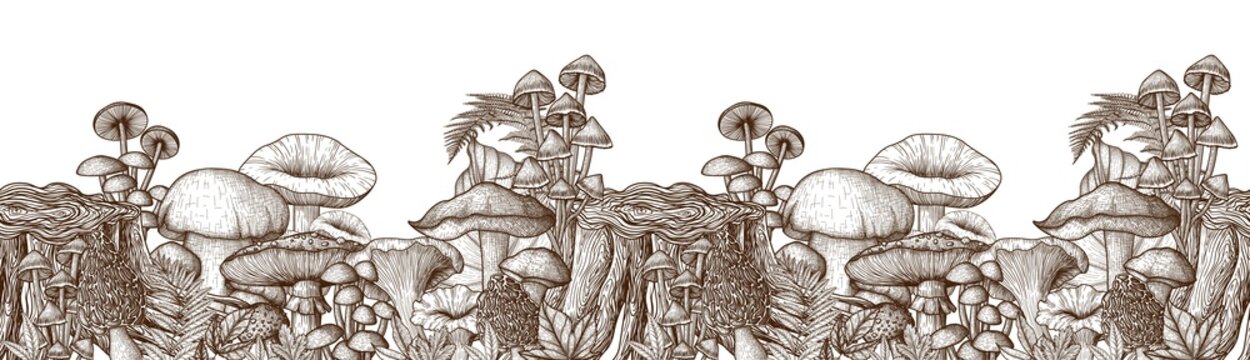 Seamless horizontal pattern mushrooms near the stump in the style of engraving. Linear graphic fly agaric, chanterelles, porcini mushrooms, honey mushrooms, morel, mycena, russula, boletus