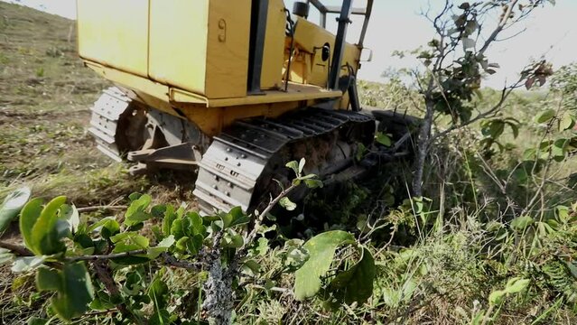 A crawler dozer deforesting the Brazilian savannah to make farmland for soybean crops 
